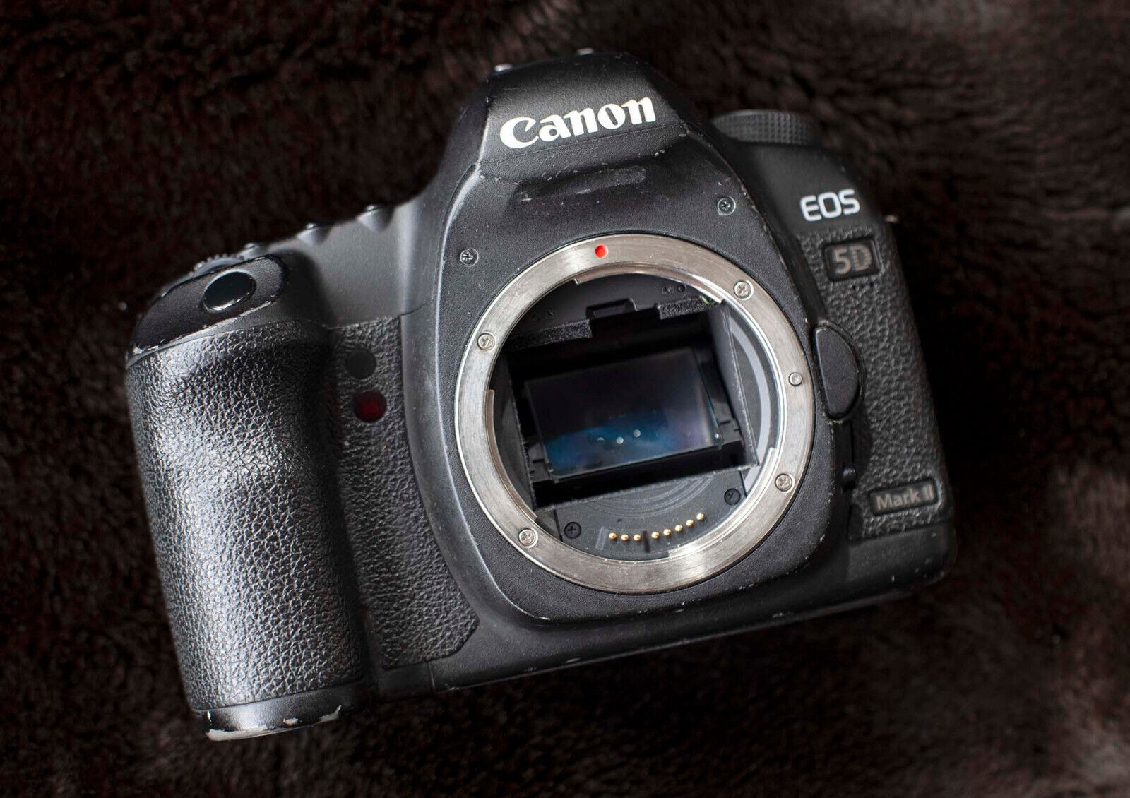 Canon EOS 5D Mark II Reviews & Compare Price – Lowest offer on eBay is $301.05