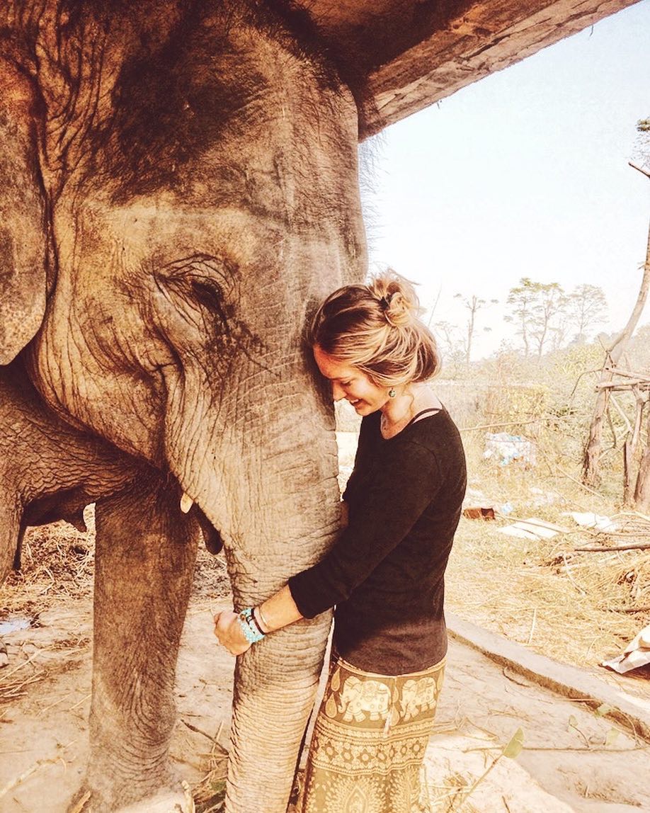 volunteer-elephant-nepal