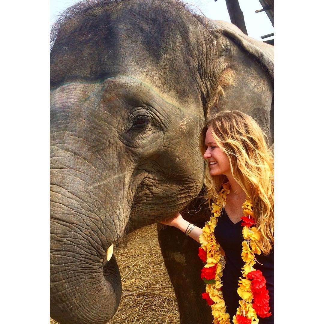 volunteer-elephant-nepal